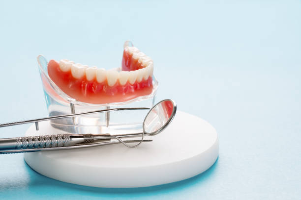 Best Preventive Dentistry  in Royal Oak, MI